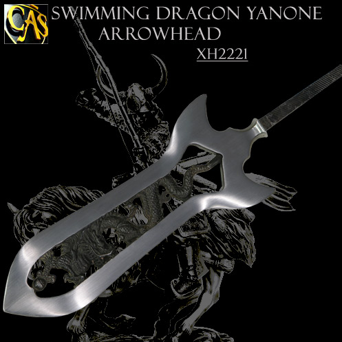 foto Swimming Dragon Arrowhead